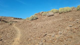 2024-02-GranCan-Playa Del Aguila-Trek-05.jpg